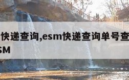 esm快递查询,esm快递查询单号查询追踪ESM